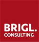 Logo brigl consulting