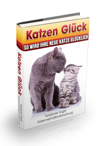 Katzen Glück - so wird Ihre neue Katze glücklich - ein liebevoller Ratgeber für Katzenliebhaber