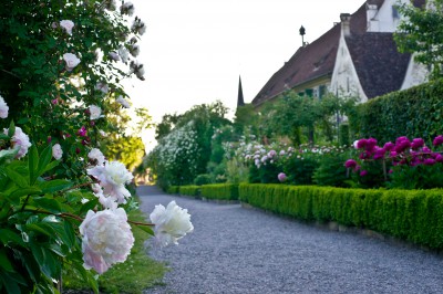 Ritterfräuleins Gartenlust am Bodensee