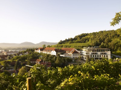 Goldener Herbst in der wunderschönen Wachau