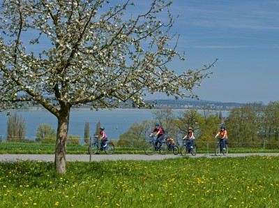 Apfelblüten-Hanami am Schweizer Bodensee