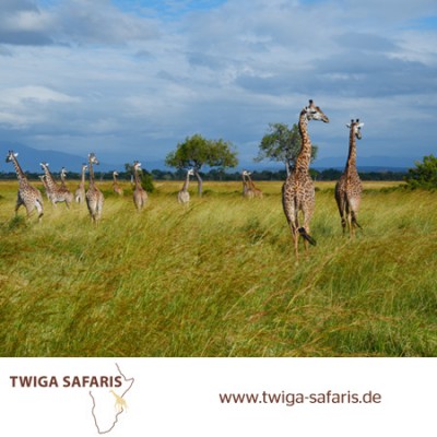 Faszination Afrika - Twiga Safaris auf der CMT Stuttgart
