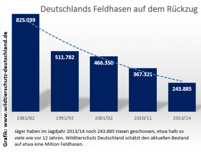 Hasenbestände gehen dramatisch zurück