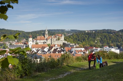 Sommer unterm Hohenzollernschloss