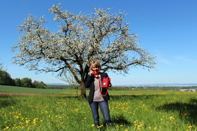 Thurgauer Blüten-Hotline ist aufgeschaltet