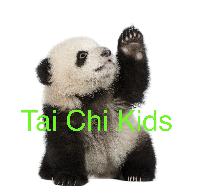 Tai Chi fördert Jugendliche und Kinder