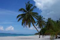 Dominikanischer Strand Saona wurde zum besten Strand 2012 gewÃ¤hlt