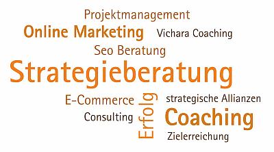 56846_0_400 Seo Consulting für nur einen Kunden pro Produktkategorie