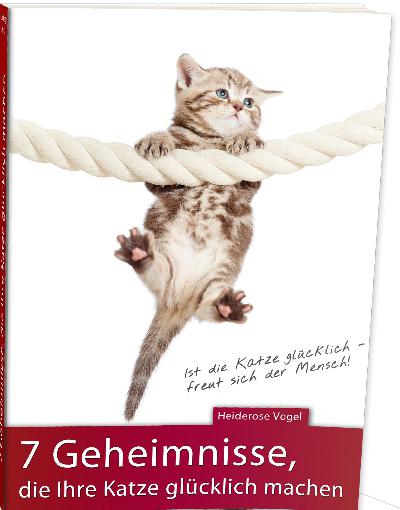 Kostenloser Exklusiv-Report für alle Katzenliebhaber