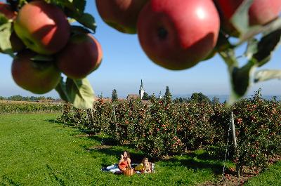 Willkommen im herbstlichen Mostindien