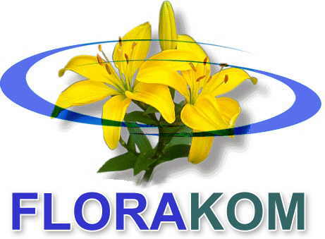 Jetzt fÃ¼r den FrÃ¼hling pflanzen: Mehr als 650 Blumensorten verfÃ¼gbar auf florakom-blumenzwiebeln.de