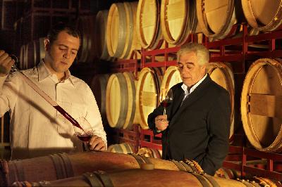Rindchens Weinkontor stellt das Dream-Team des spanischen Weinbaus vor: Die Tempranillo-Traube und das kleine Eichenfass