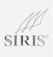 SIRIS Systeme prÃ¤sentiert erste Studienergebnisse anlÃ¤sslich des 3. Bodensee Unternehmerforums