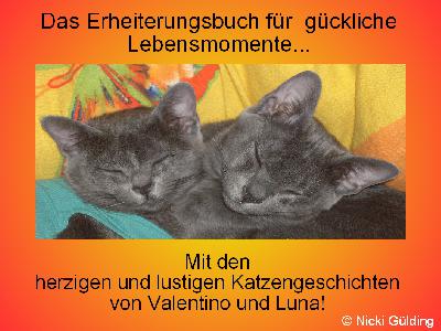 Das Erheiterungsbuch für glückliche Lebensmomente - Mit den herzigen und lustigen Katzengeschichten von Valentino und Luna von Nicki Gülding