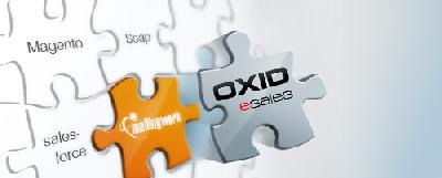E-Marketing meets E-Commerce: mailingwork bindet OXID eSales an