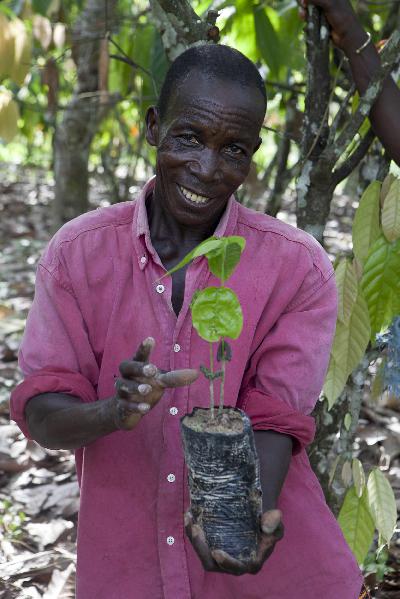 Die Arbeit der Rainforest Alliance in Afrika trägt Früchte  trotz Rückschläge