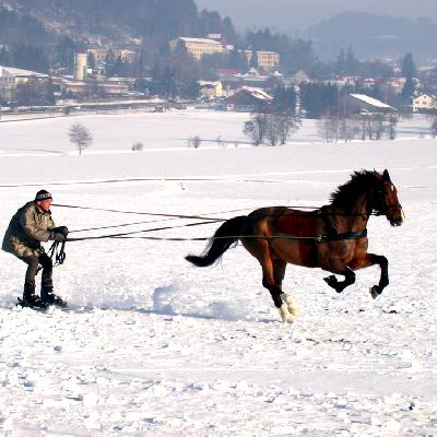 Winter auf der Mittleren Schwäbischen Alb