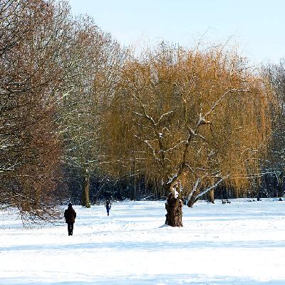 Winterzauber in Bad Krozingen am Fuße des Schwarzwalds