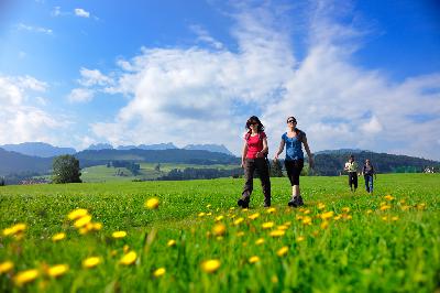 Auf Muschelsuche in der Ostschweiz