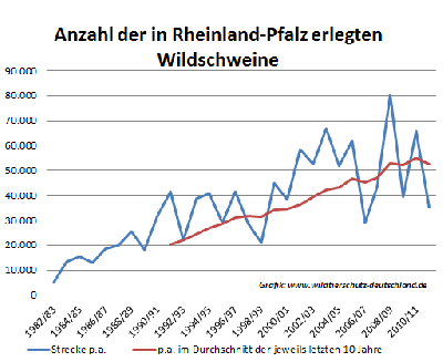 Landesjagdverordnung - Höfken auf dem Holzweg