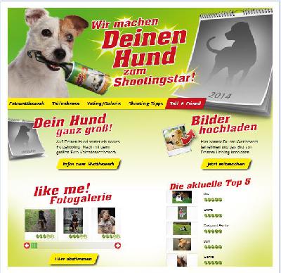 Hundemodels für Scotch-Brite Kalender gesucht