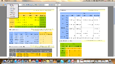 FastReports kündigt erstes professionelles Reporting Tool für Delphi FireMonkey an