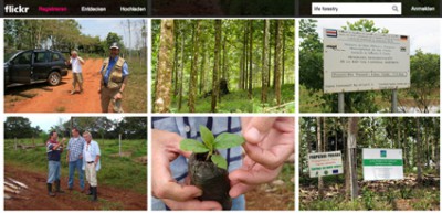 Umfassende Fotosammlung von Life Forestry veröffentlicht