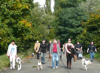 Hundespaziergang entlang am Main am 3. Oktober 2013