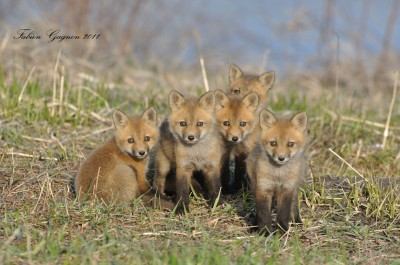 Saarland: Die Jagd sind wir