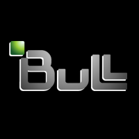 Logo Bull