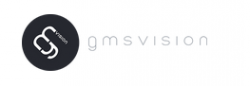 gmsvision