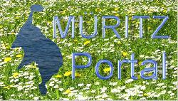 Logo Müritzportal – Urlaub in der Müritzregion