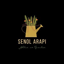 Senol Arapi