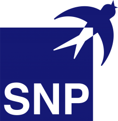 Logo SNP Schneider-Neureither & Partner SE Logo SNP Schneider-Neureither & Partner SE