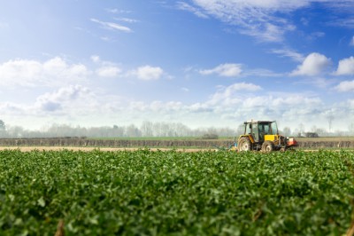 Arbeitsgemeinschaft Glyphosat: Risikobewertung des Herbizids Glyphosat veröffentlicht