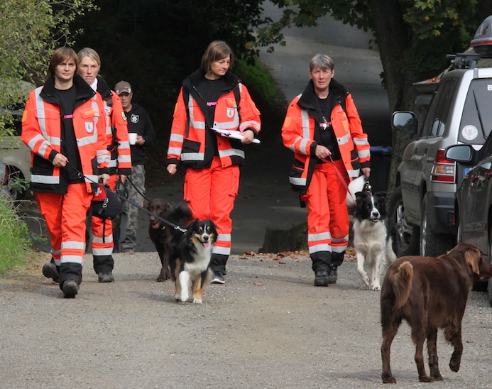 Georgie wird Rettungshund! - Erfahrungsbericht eines Hundes nach einem Jahr Ausbildung