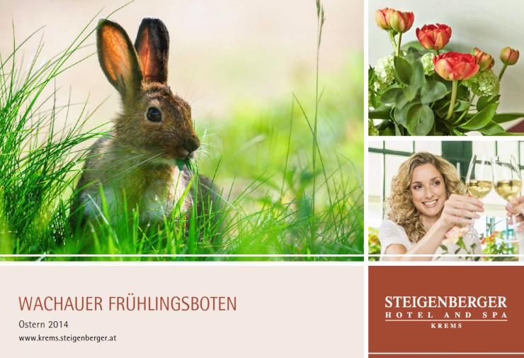 Blühender Frühlingsgenuss in der Kremser Weinbergwelt