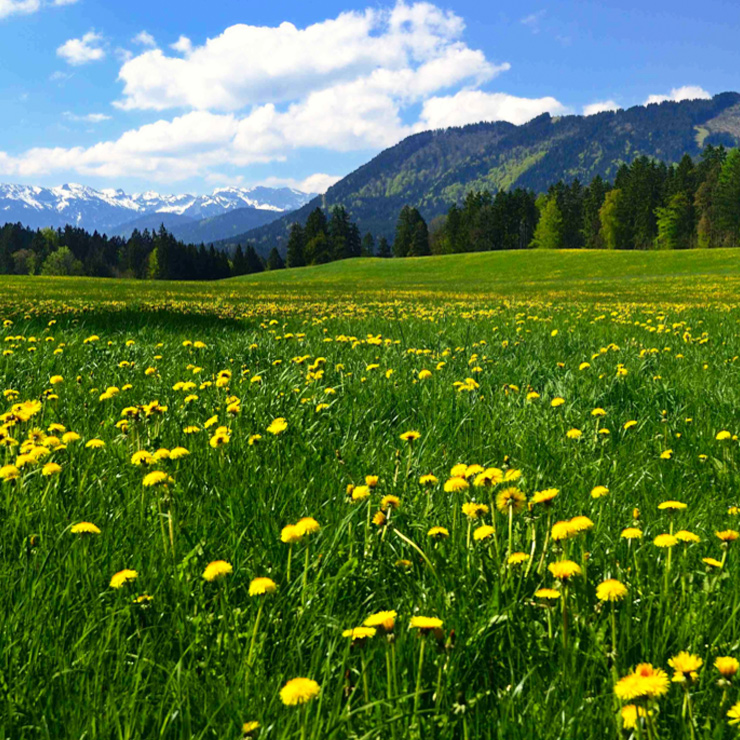 Der Tölzer Veg - Urlaub (nicht nur) für Veganer