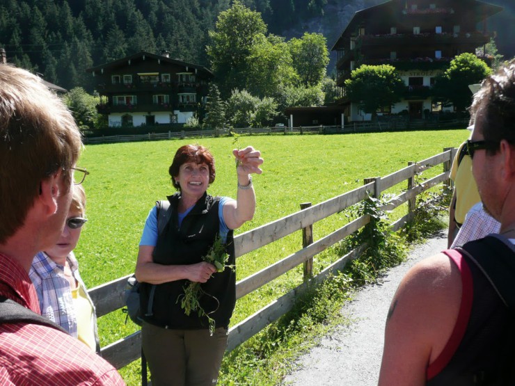 Endlich Sommer - tolles Programm im Hochgebirgs-Naturpark Zillertaler Alpen