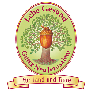 Leckere vegetarisch-vegane Neuheiten vom Lebe Gesund-Versand