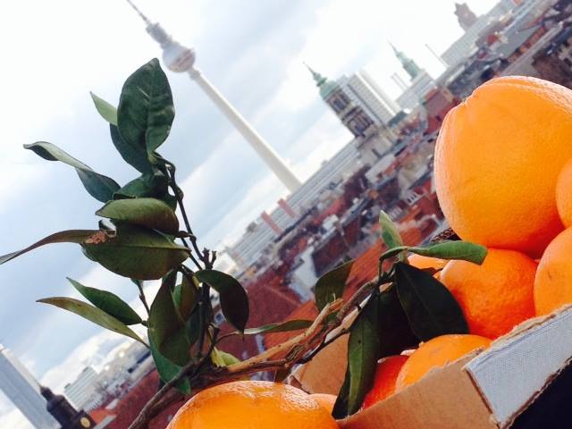 Naranjas Quique erlaubt die originalen Orangen aus Valencia in Rekordzeit in Deutschland zu genießen
