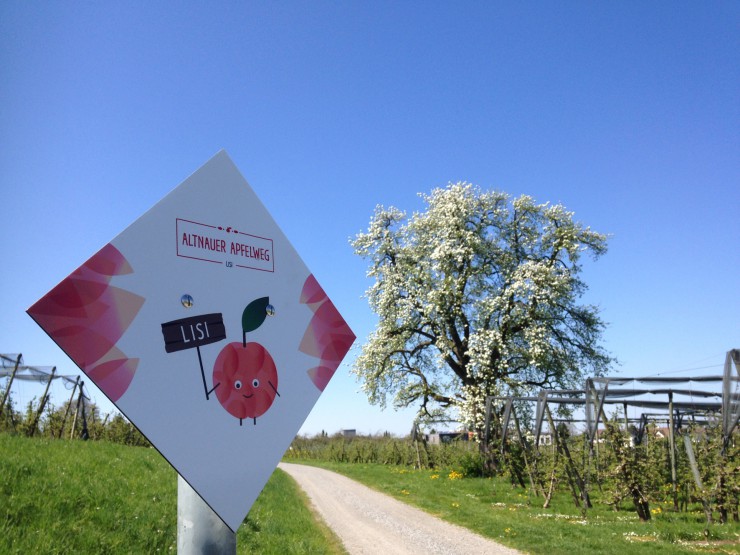 Neuer Apfelweg durchs Apfeldorf Altnau