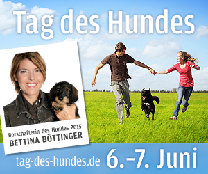 Vorführungen, Spiel, Spaß und Aktivitäten mit dem Hund