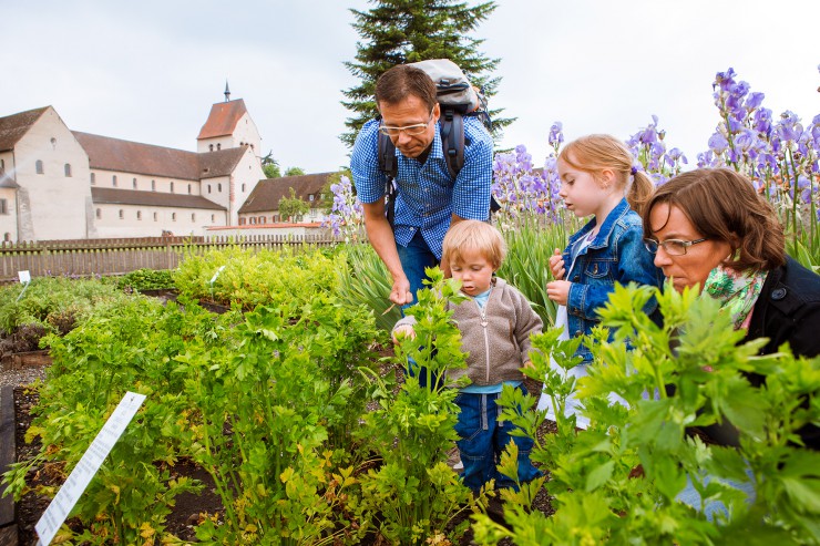 Garten-Rendezvous blüht auf