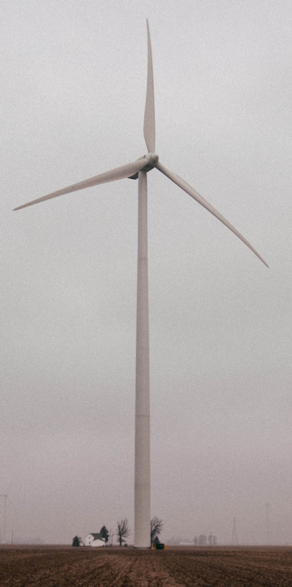 NAEB: Windenergie ist teuer und umweltfeindlich