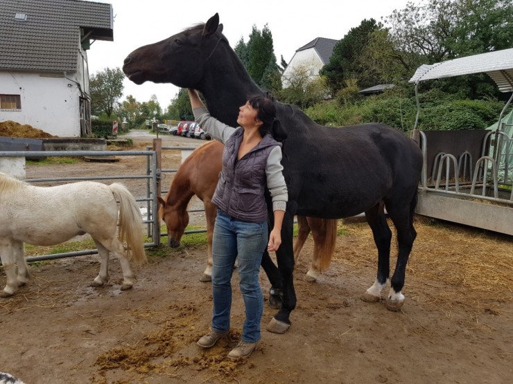 Chance: Hilfe bei Pferdekrankheit Druse jetzt ohne Medikamente