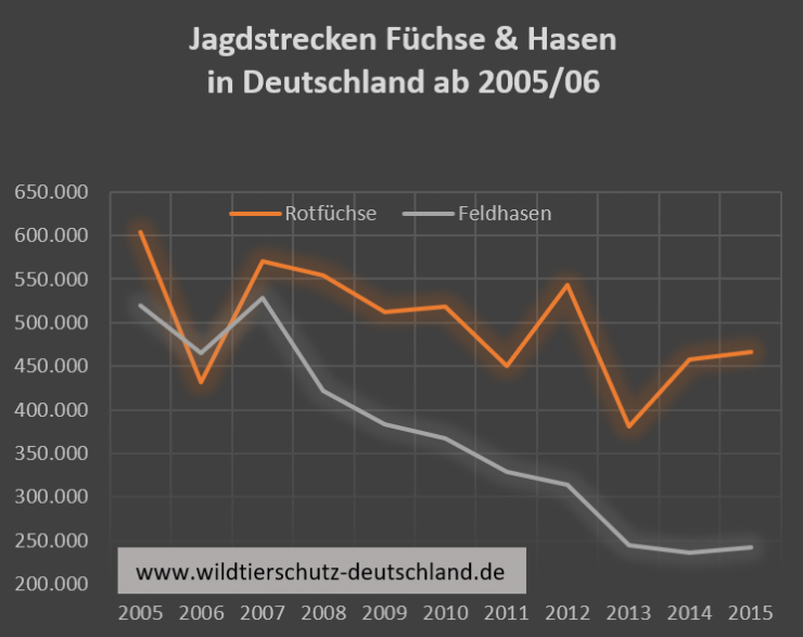 Trotz Totalabschuss von Füchsen und Rabenvögel keine Zunahme bei Hasen oder Fasanen