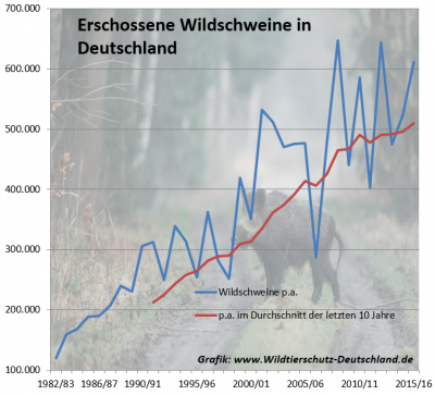 Längst fällig: Die Pille für das Wildschwein