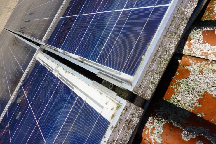 Flechten und Moos gefährden Photovoltaik Anlagen