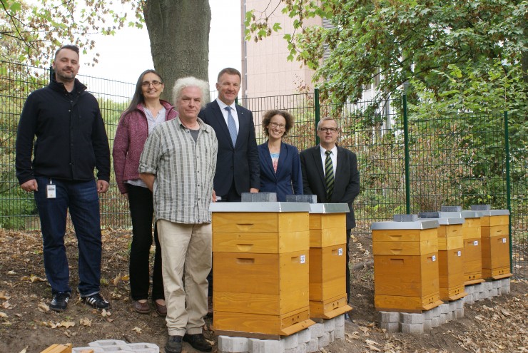 Bienen finden bei SIGNAL IDUNA ein neues Zuhause